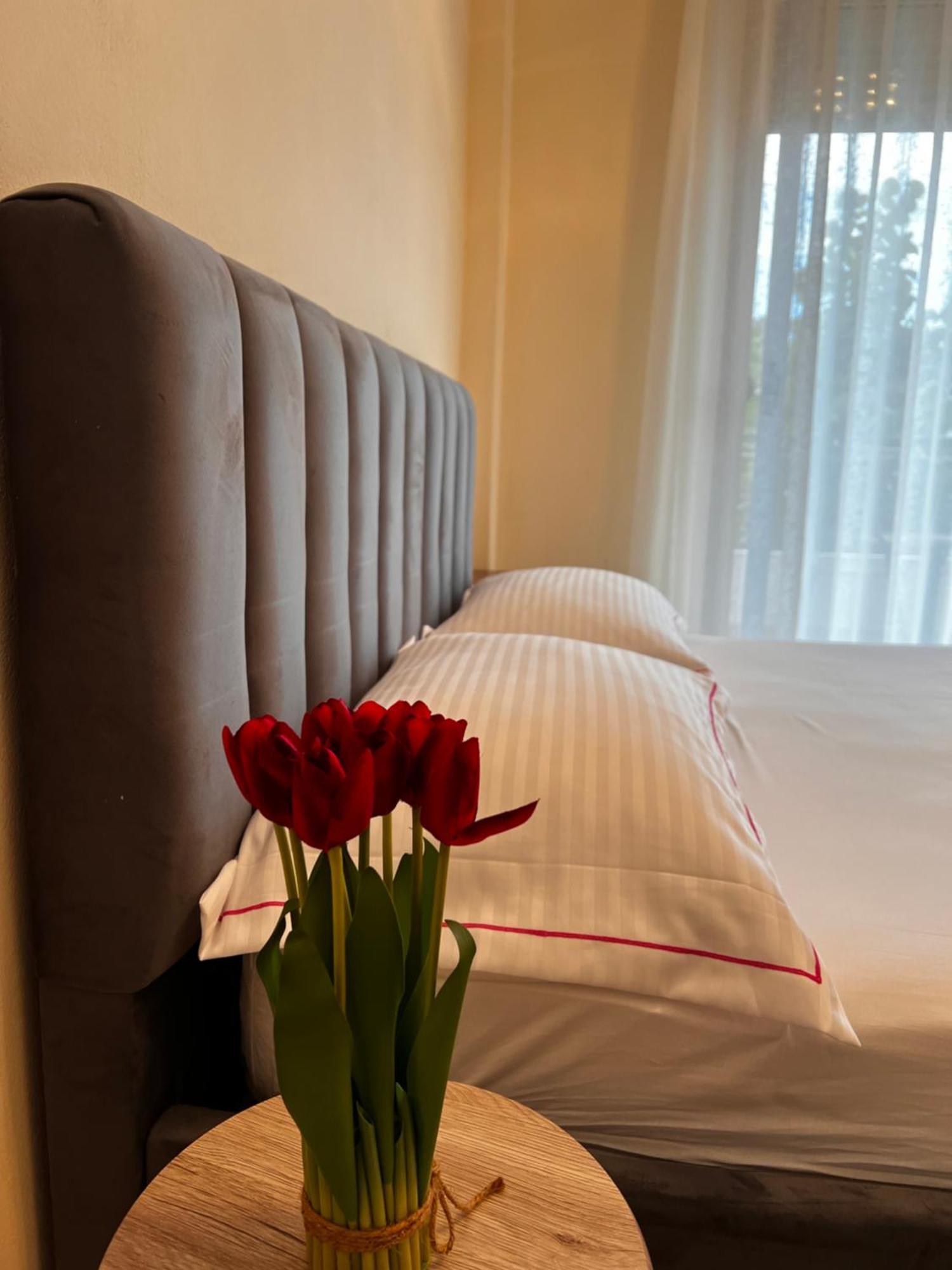 Apartament Ajlin's Lungomare